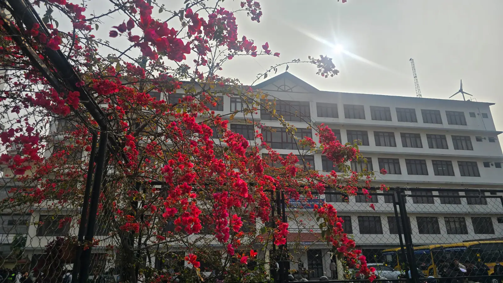 The college's four-storey block behind its fence, a bougainvillea in flower across the frame