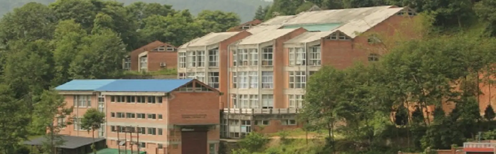 The school's brick blocks stepped up a wooded hillside, seen from across the valley